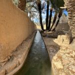 A tranquil canal flanked by palm trees and adobe walls in a Moroccan oasis.