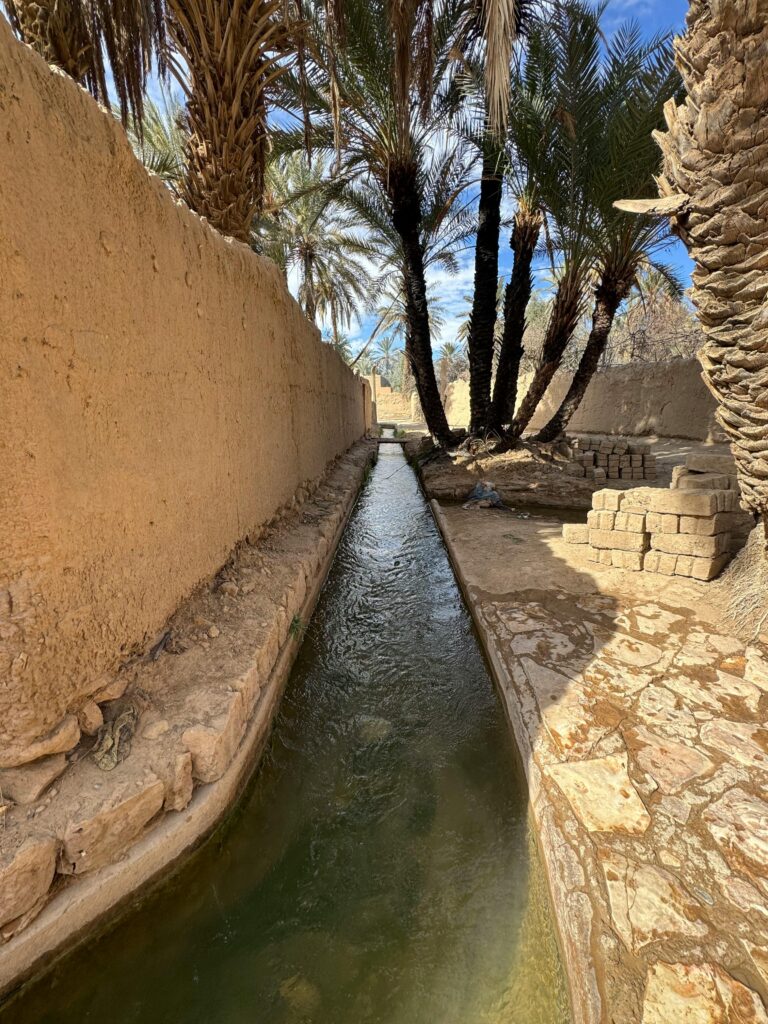 A tranquil canal flanked by palm trees and adobe walls in a Moroccan oasis.